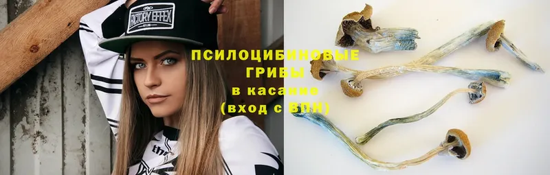 Галлюциногенные грибы Cubensis  нарко площадка наркотические препараты  Коммунар  наркошоп 